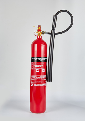 MT5������̼�����